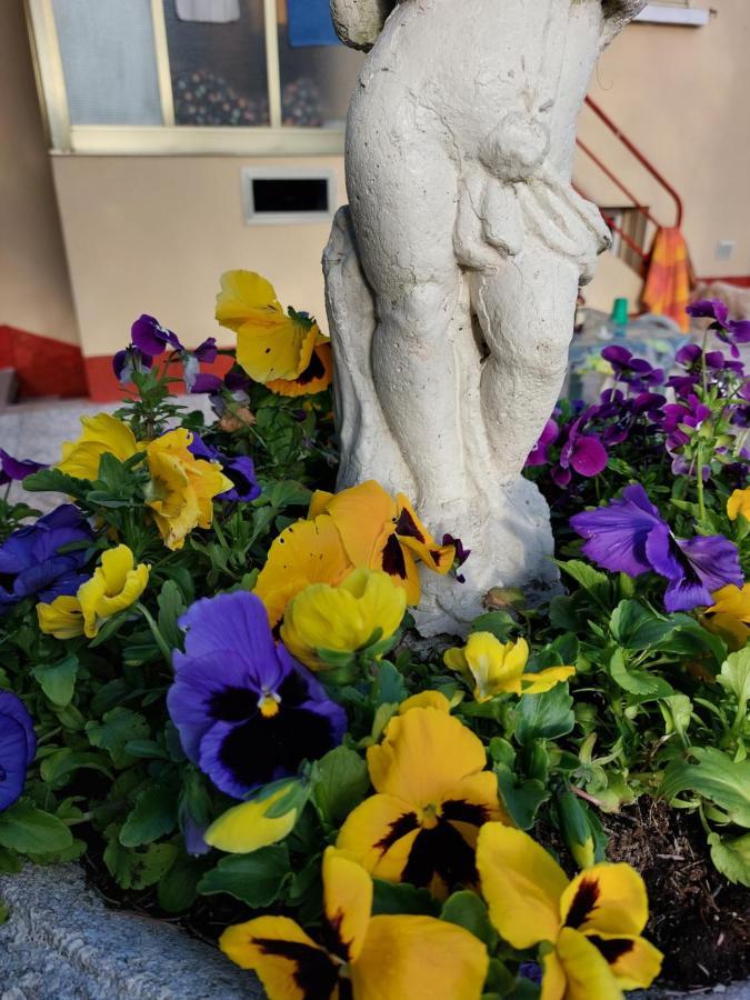 Villa Lilli 2 فيرّارا المظهر الخارجي الصورة